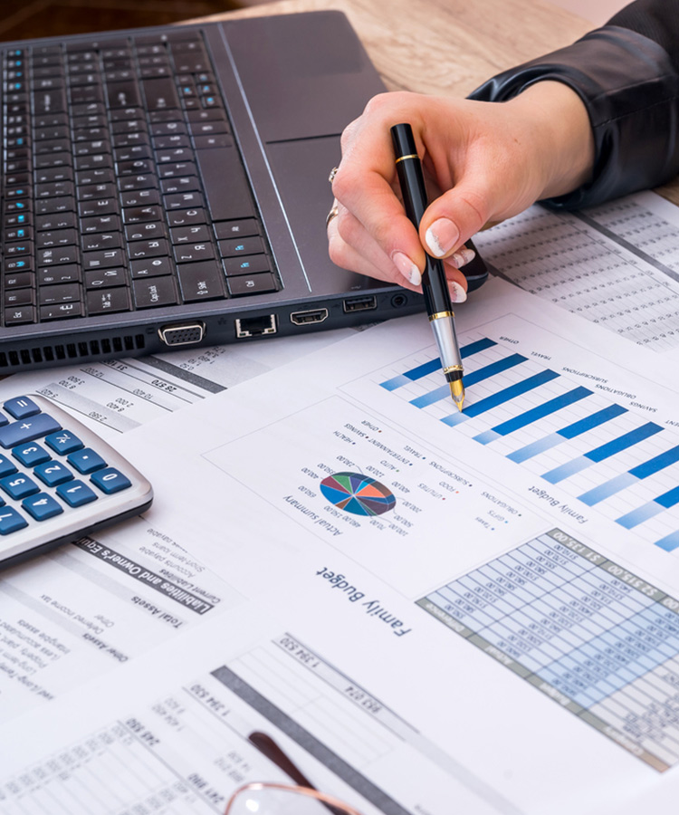 Photo of a person that points to a graphic in the shareholder structure.