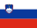 Slovenia flag 